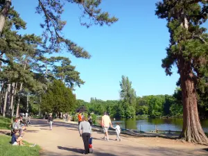 Bois de Boulogne - Flânerie le long de la mare Saint-James