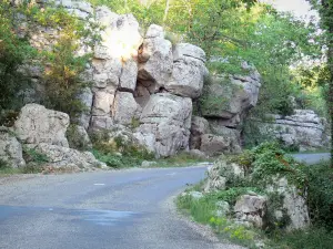Bois de Païolive - Strada fiancheggiata da rocce e alberi