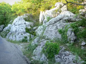 Bois de Païolive - Rocce calcaree immerse nel verde