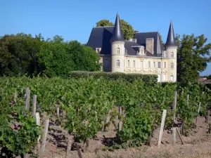 Bordeaux vineyards - Château Pichon-Longueville and vines of the vineyard, in Pauillac in the Médoc 