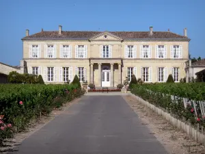Bordeaux vineyards - Château Ducru-Branaire, winery in Saint-Julien-Beychevelle in the Médoc 
