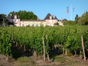 Bordeaux vineyards - Loudenne castle and vineyards, winery in Saint-Yzans-de-Médoc 