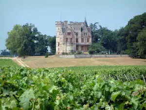 Bordeaux vineyards - Vines in the foreground overlooking the château Lachesnaye, winery in Cussac-Fort-Médoc 