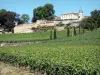 Bordeaux Weinanbaugebiet - Clos La Madeleine und sein terrassenförmiger Weinberg, Weingut von Saint-Emilion