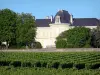 Bordeaux Weinanbaugebiet - Schloss Domeyne, Weingut in Saint-Estèphe, im Medoc, und Rebstöcke vorne