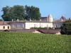 Bordeaux Weinanbaugebiet - Schloss Lafite Rothschild, Weingut in Pauillac, im Medoc