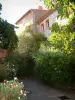 Bormes-les-Mimosas - Las ramas de un árbol en primer plano, calle estrecha, llena de flores y arbustos, y las casas en el pueblo