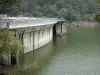 Bos van Mervent-Vouvant - Mervent dam, het vasthouden van water en bos bomen