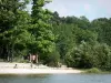 Bos van Sillé - Sille Lake (over de gemeente Sille-le-Guillaume), zandstrand en bomen van het bos in het natuurpark Normandie-Maine Regionaal