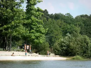 Bos van Sillé - Sille Lake (over de gemeente Sille-le-Guillaume), zandstrand en bomen van het bos in het natuurpark Normandie-Maine Regionaal