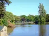 Bosque de Boulogne - Estanque de Santiago, rodeado de árboles, popular entre los patos y cisnes