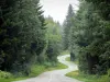 El bosque de la Joux - Guía turismo, vacaciones y fines de semana en Jura