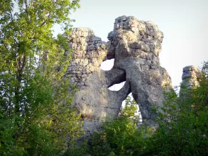 Bosque de Païolive - Escultura natural del oso y el león de piedra