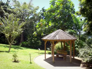 Botanische tuin van Deshaies - Hut in het hart van het Arboretum