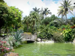 Botanische tuin van Deshaies - Kleine houten brug over de vijver in het hart van Park Deshaies