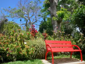 Botanischer Garten von Deshaies - Rote Sitzbank für eine Rast inmitten des Blumenparks