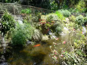 Botanischer Garten von Deshaies - Wassermauer mit Pflanzen