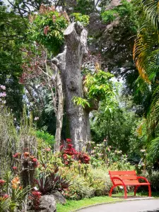 Botanischer Garten von Deshaies - Rote Sitzbank bei einem in Blüte stehendem Beet