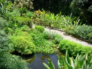 Botanischer Garten von Deshaies - Pflanzen des Blumenparks