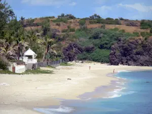 Boucan Canot beach - Sand beach, palm trees and Indian Ocean