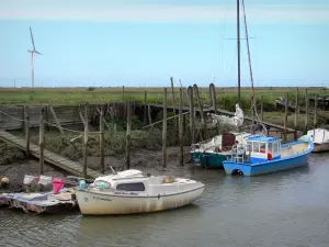 Bouin - Champs port: moored boats and stilts