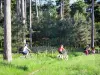 Boulogne wood - Cycling in a green environment