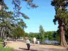 Boulogne wood - Strolling along the Saint-James pond