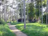 Boulogne wood - Tree-lined footpath