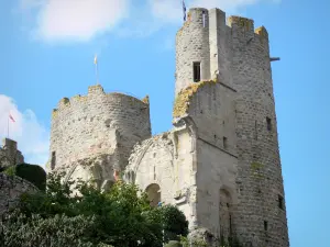 Bourbon-l'Archambault - Los vestigios de la fortaleza medieval de los duques de Borbón (Castillo Bourbon-l'Archambault) en el Bocage Bourbonnais