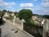 Bourbon-l'Archambault - Uitzicht op de daken van de huizen van de spa