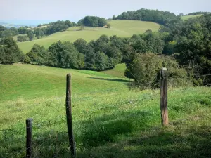 Bourbonnais mountains - Fence in a meadow, pasture and trees