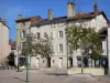 Bourg-en-Bresse - Place des Bons Enfants: gevels van huizen, winkels, bomen en lantaarnpalen