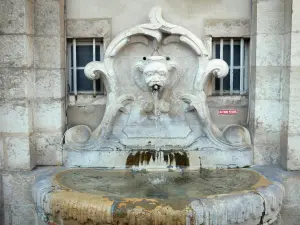 Bourg-en-Bresse - Fontaine de l'hôtel de ville