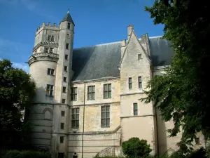 Bourges - Palacio de Jacques Coeur (gótico civil, arquitectura) y los árboles