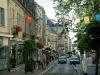 Bourges - Moyenne street with its buildings and its shops