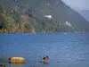 Bourget lake - Mandarin ducks (mallards) on a small rock, lake and mountain covered with trees in autumn