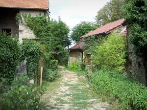 Brancion - Carretera bordeada de casas y la vegetación