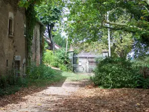 Brancion - Weg bestreut mit verwelkten Blättern, Häuser und Bäume