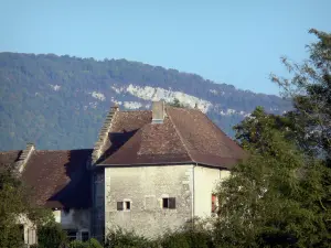 Brangues - Tipica casa nel villaggio