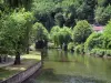 Brantôme - Rive (promenade) du jardin des Moines (à gauche), rivière (la Dronne) et arbres au bord de l'eau, en Périgord vert