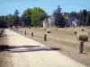 La Brède castle - Driveway lined with hay bales overlooking the castle and its park 