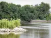 La Brenne Regional Nature Park - Blizon lake and trees in background