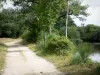 La Brenne Regional Nature Park - Blizon trail, trees and Blizon lake