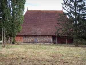 Bresse borgoñona - Bresse ladrillo granja de madera y la hierba y los árboles
