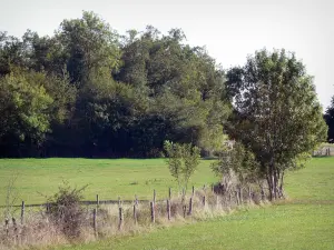Bresse savoiarda - Prati, alberi e recinzione