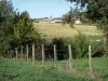 Bresse savoyarde - Clôture d'un pré, champ et ferme bressane de Vescours en arrière-plan