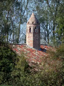 Bresse savoyarde - Cheminée sarrasine de la Grange du Clou (ferme bressane) entourée d'arbres ; à Saint-Cyr-sur-Menthon