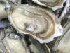 Breton oysters - Gastronomy, holidays & weekends guide in the Finistère