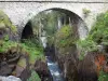 Bridge of Spain - Bridge of Spain (Pont d'Espagne) Nature site: stone bridge spanning the stream, watercourse lined with rocks in the Pyrenees National Park; in the town of Cauterets