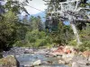 Bridge of Spain - Bridge of Spain (Pont d'Espagne) Nature site: cable car, gave stream, rocks and trees in the Pyrenees National Park; in the town of Cauterets